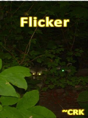 cover image of Flicker